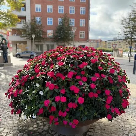 Daire In The Heart Of The Center Aalborg
